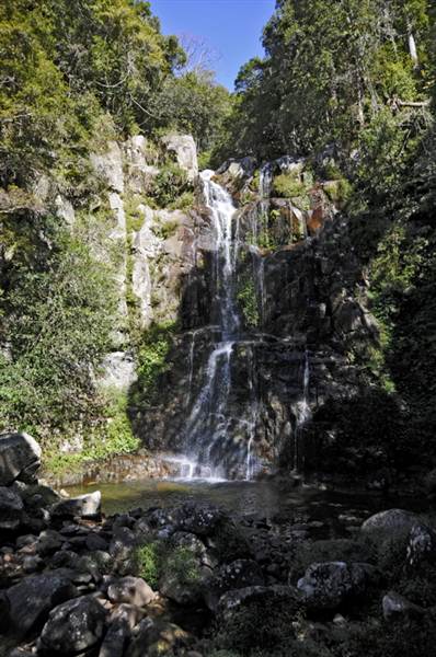Minnamurra Falls (7/03/2013 11:43:36 PM)