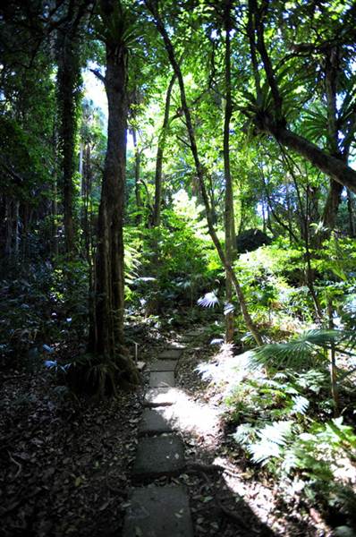 Mount Keira Scout Camp File 1 (8/03/2013 10:04:50 AM)