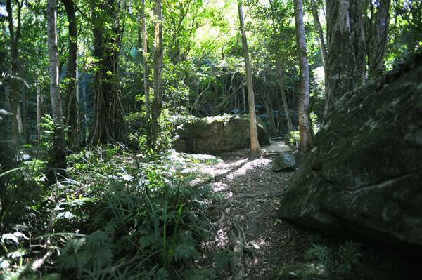 Mount Keira Scout Camp File 1 (8/03/2013 10:05:09 AM)