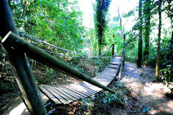 Mount Keira Scout Camp File 1 (8/03/2013 10:06:04 AM)