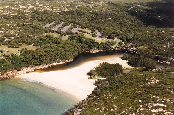 Royal National Park (8/03/2013 1:38:48 PM)