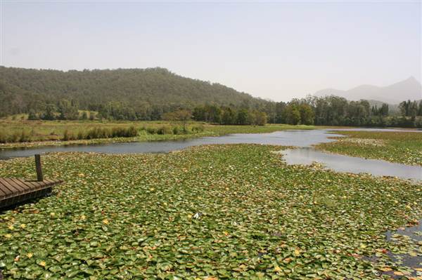 Clarrie Hall Dam (9/03/2013 1:50:36 AM)