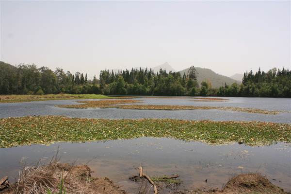 Clarrie Hall Dam (9/03/2013 1:52:50 AM)