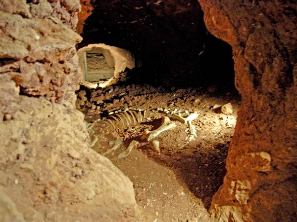 Wellington Mines (9/03/2013 11:05:59 AM)