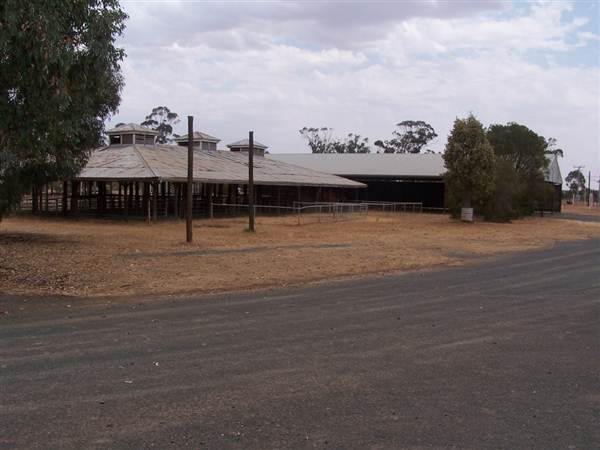 West Wyalong Racetrack and Showgrounds (9/03/2013 11:19:44 AM)