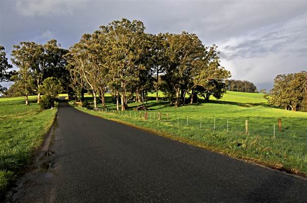 Robertson - Southern Highlands (9/03/2013 8:12:29 PM)