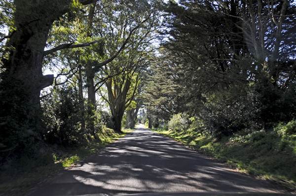 Robertson - Southern Highlands (9/03/2013 8:15:19 PM)