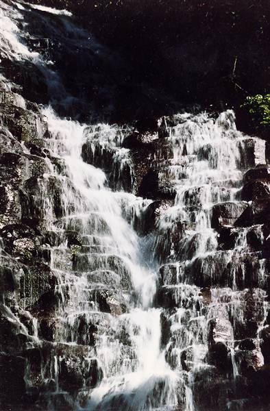 Tristania Falls - Dorrigo National Park (11/03/2013 2:55:23 PM)