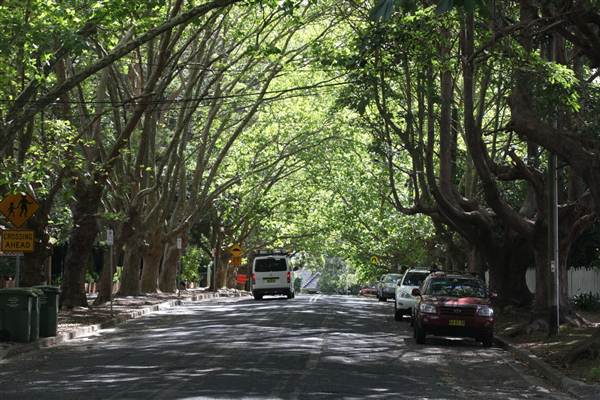Water St - Pymble (13/03/2013)