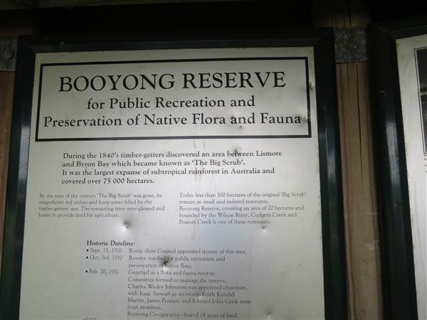 Booyong Flora Reserve (11/04/2013)