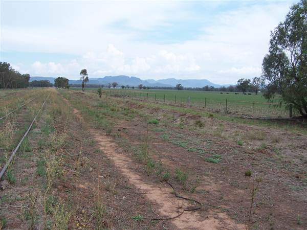 Baradine to Coonabarabran road (26/04/2013)