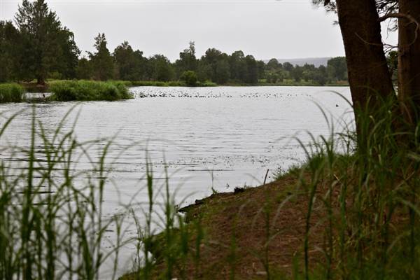 Yarramundi Reserve (17/07/2013)
