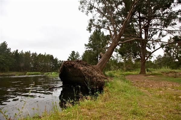 Yarramundi Reserve (17/07/2013)