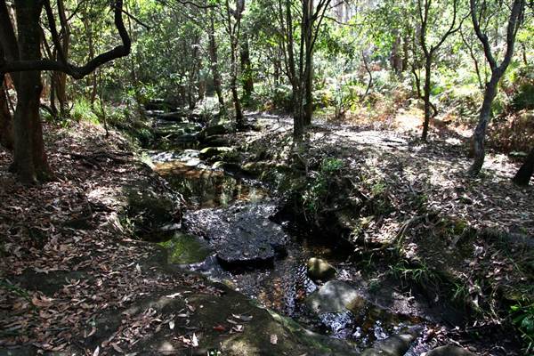 Warraroon Reserve (17/07/2013)