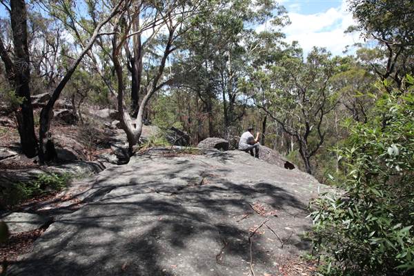 Ted Horwood Reserve (17/07/2013)