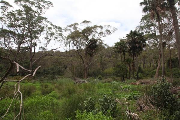 Narrabeen (17/07/2013)