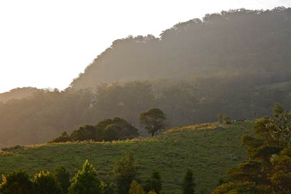 Kangaroo valley (28/11/2013)