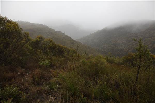 Mt Banks (28/11/2013)