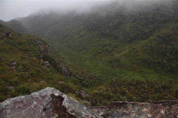 Mt Banks (28/11/2013)