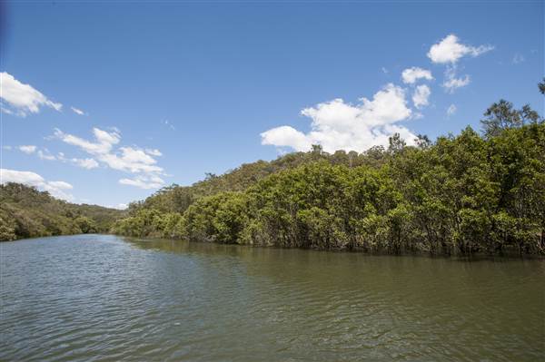 Georges River (5/12/2013)