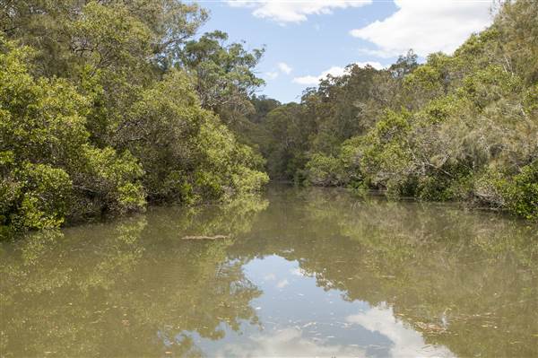 Georges River (5/12/2013)