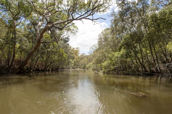 Georges River (5/12/2013)