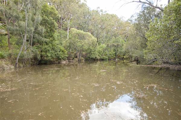 Georges River (5/12/2013)