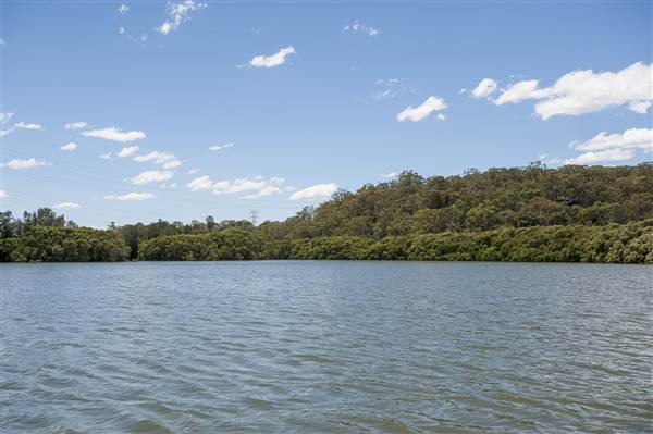 Georges River (5/12/2013)