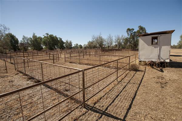 Coonamble (26/11/2013)