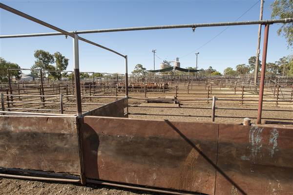 Coonamble (26/11/2013)