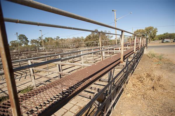 Coonamble (26/11/2013)