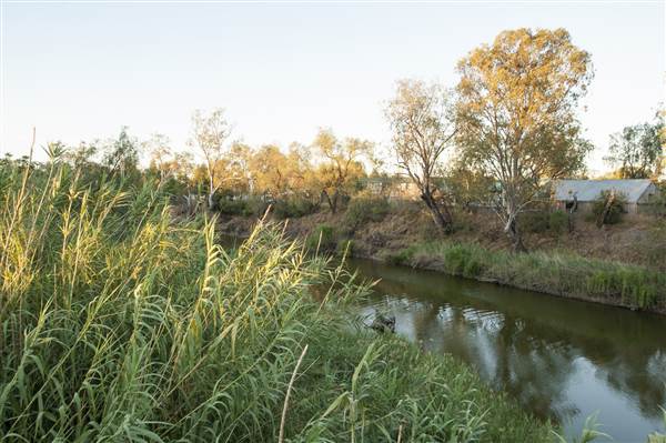 Coonamble (26/11/2013)