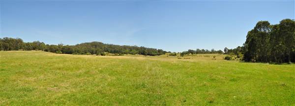 Scenic NSW Equine Centre (25/09/2013)