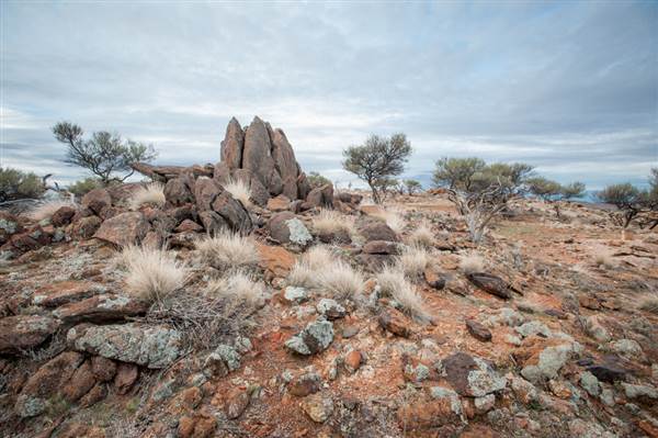 Mount Gipps Station (6/06/2013 - Credits: Colin McDougall)