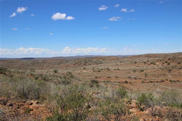 Broken Hill Sculptures Site and Living Desert (13/09/2013 - Credits: Lyndall Roberts)
