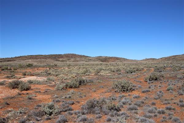 Broken Hill Sculptures Site and Living Desert (13/09/2013 - Credits: Lyndall Roberts)