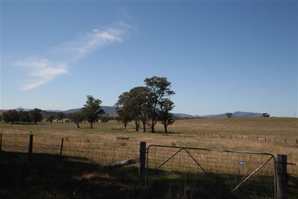 Mudgee (15/10/2013 - Credits: David Watts)