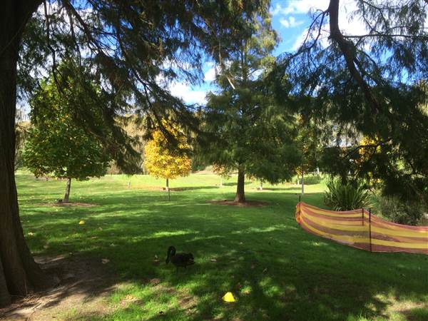 Centennial Park (25/06/2014)