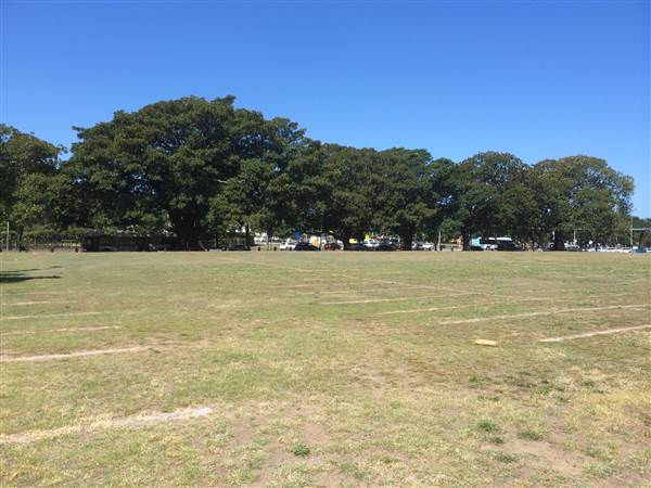 Centennial Park (25/06/2014)
