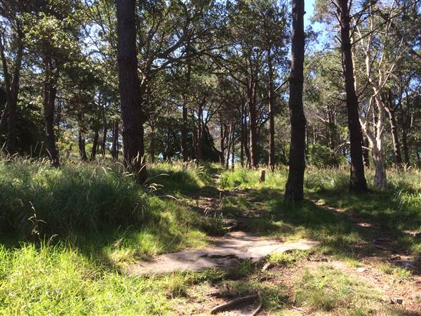 Centennial Park (25/06/2014)