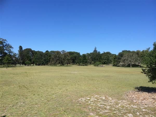 Centennial Park (25/06/2014)