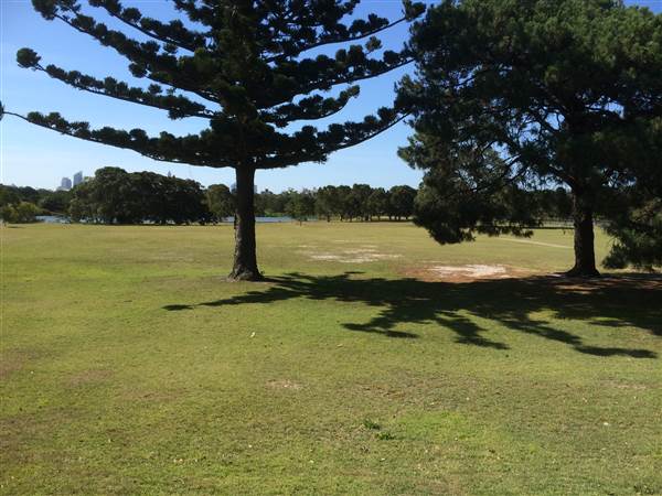 Centennial Park (25/06/2014)