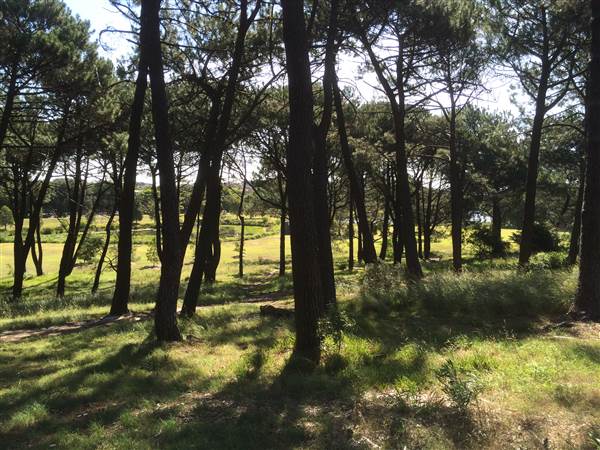Centennial Park (25/06/2014)