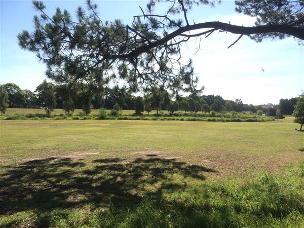 Centennial Park (25/06/2014)