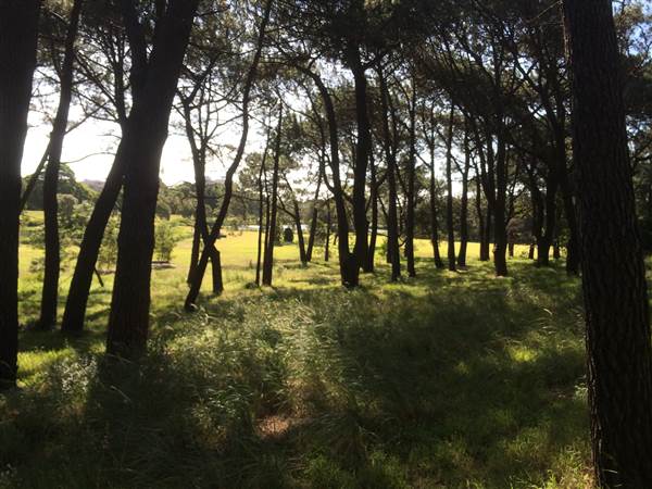 Centennial Park (26/06/2014)