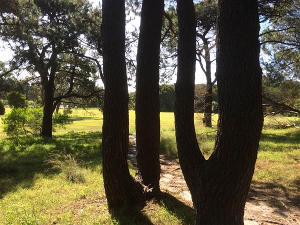 Centennial Park (26/06/2014)