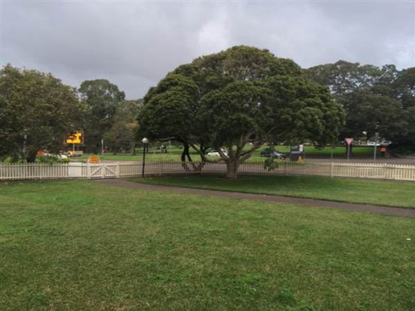 Centennial Park (26/06/2014)