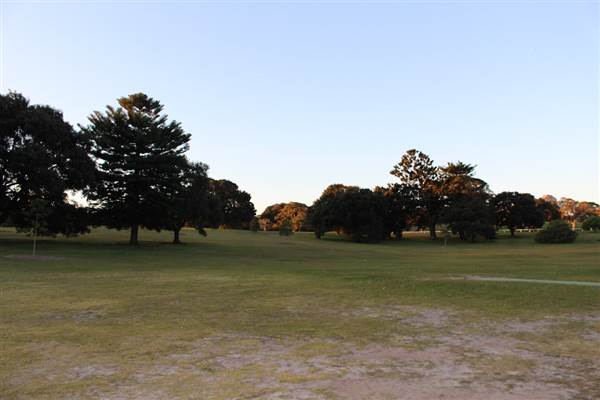 Centennial Park - Loch Ave South (7/07/2014)