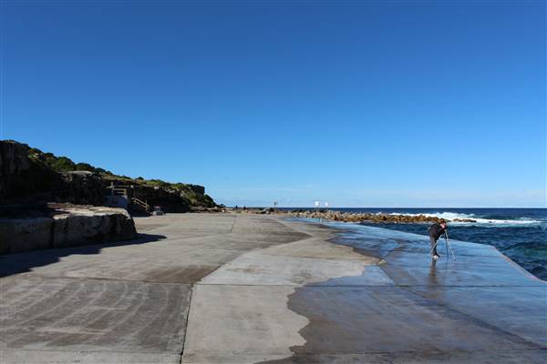 Clovelly Beach (7/07/2014)