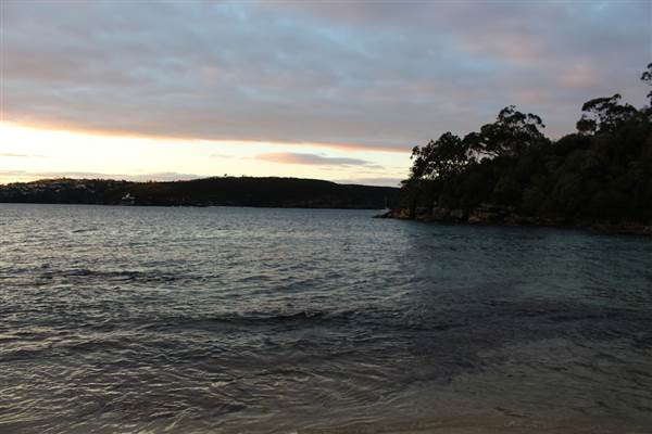 Cobblers Beach - Sydney Harbour National Park (7/07/2014 - Credits: Jeremy Peek)